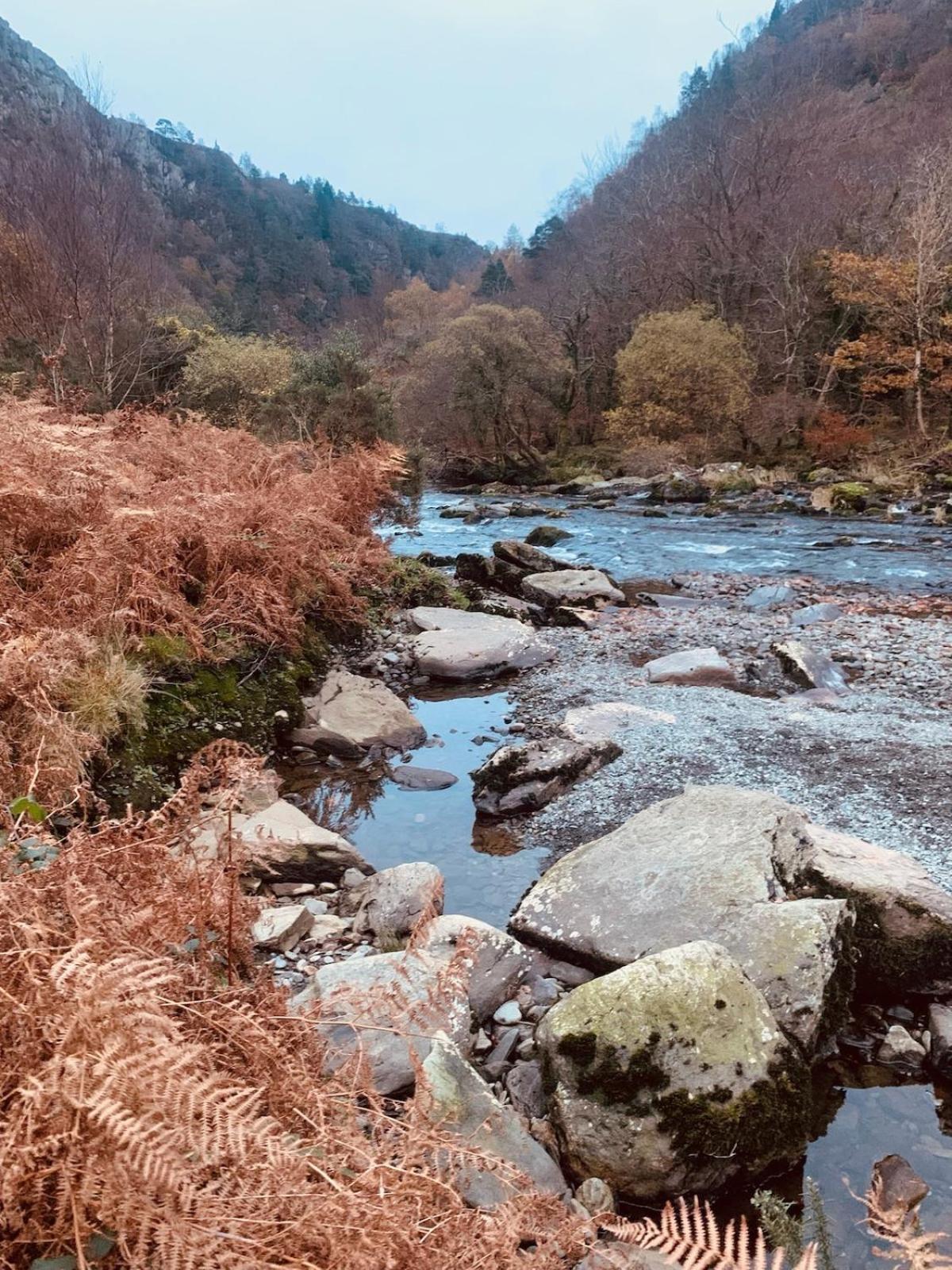 Tyn Y Simdde - Secluded Mountain Stay - Stunning Views Of Eryri Dolgellau Zewnętrze zdjęcie