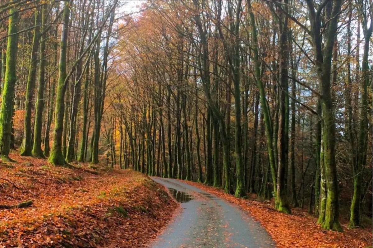 Tyn Y Simdde - Secluded Mountain Stay - Stunning Views Of Eryri Dolgellau Zewnętrze zdjęcie