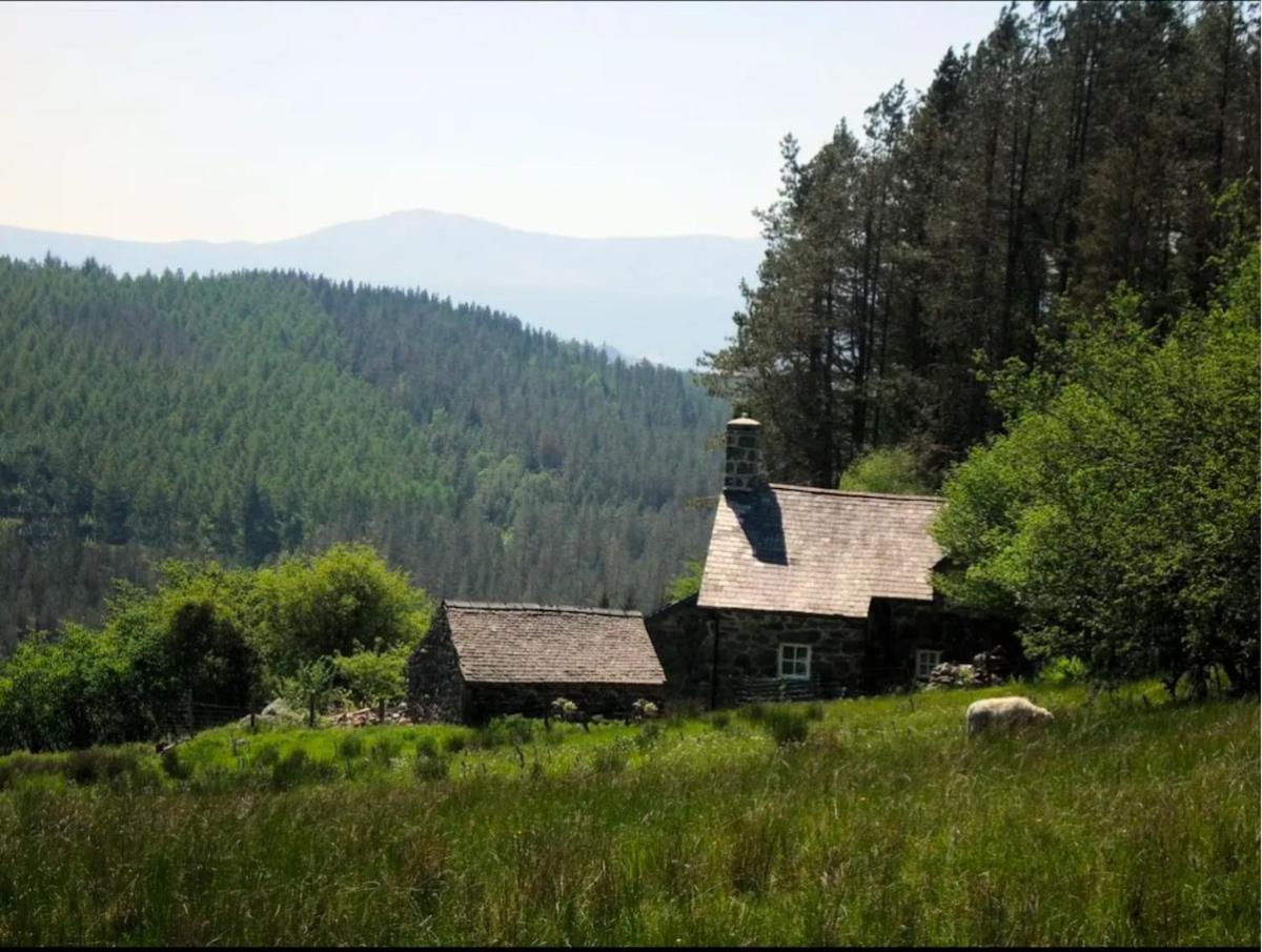 Tyn Y Simdde - Secluded Mountain Stay - Stunning Views Of Eryri Dolgellau Zewnętrze zdjęcie
