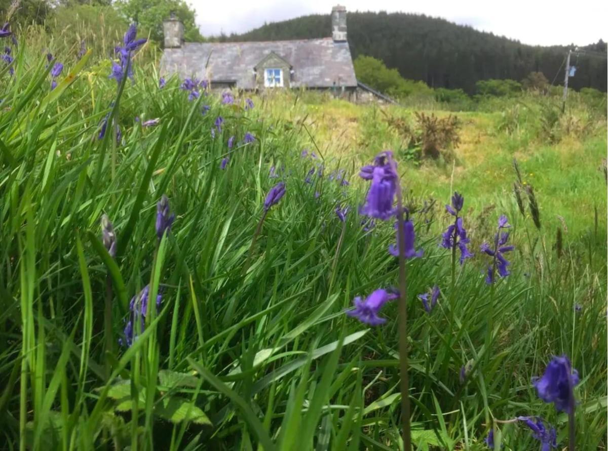 Tyn Y Simdde - Secluded Mountain Stay - Stunning Views Of Eryri Dolgellau Zewnętrze zdjęcie