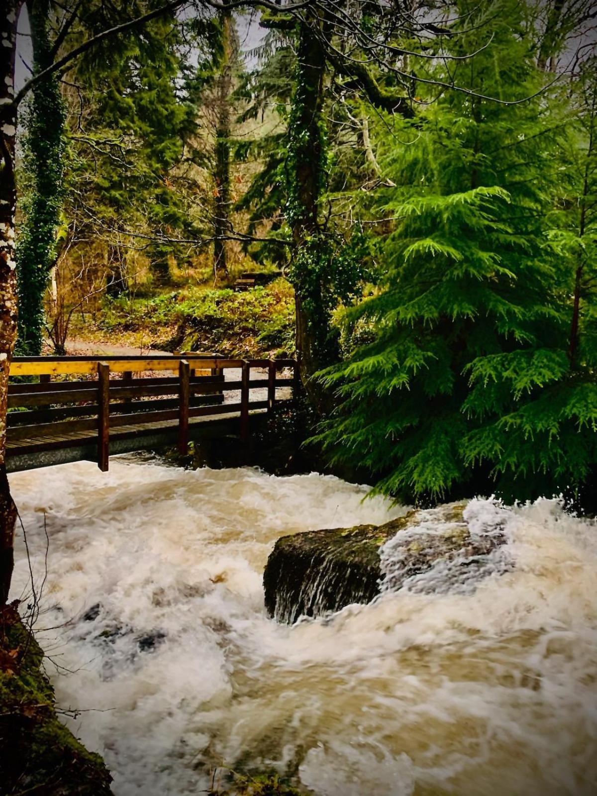 Tyn Y Simdde - Secluded Mountain Stay - Stunning Views Of Eryri Dolgellau Zewnętrze zdjęcie